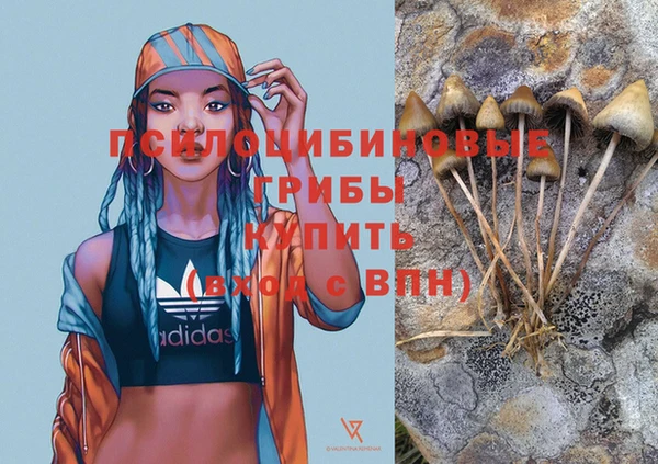 синтетический гашиш Алексин