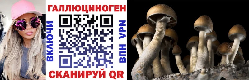 Галлюциногенные грибы мицелий  купить закладку  Петропавловск-Камчатский 