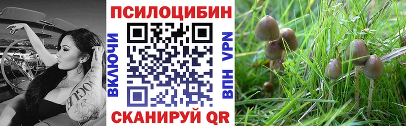 Псилоцибиновые грибы ЛСД Петропавловск-Камчатский